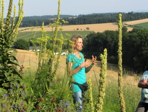 Wildkräuterführung