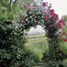 Kräuterparadies Benischek zur Zeit der Rosenblüte Kräuterparadies Fam. Benischek